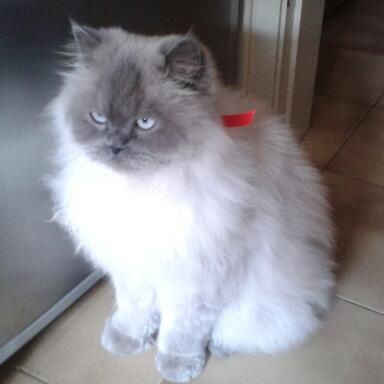 mike!!