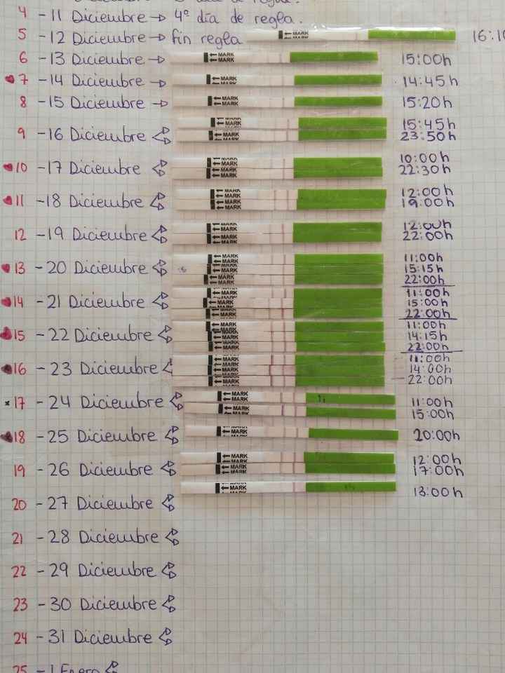 Buscadoras diciembre 2016!! - 1