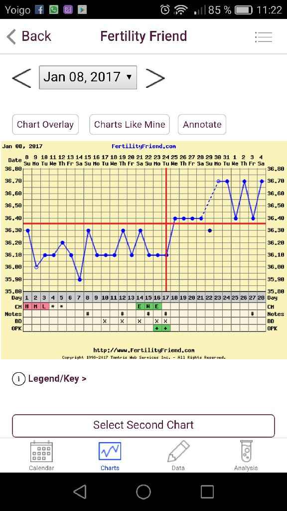 Gráficas de temperatura con positivo - 2