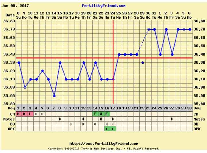 Decálogo de las gráficas de temperatura basal - 1