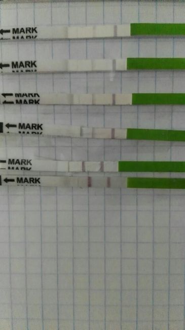 Resuelvo dudas sobre los to (test de ovulacion) - 1