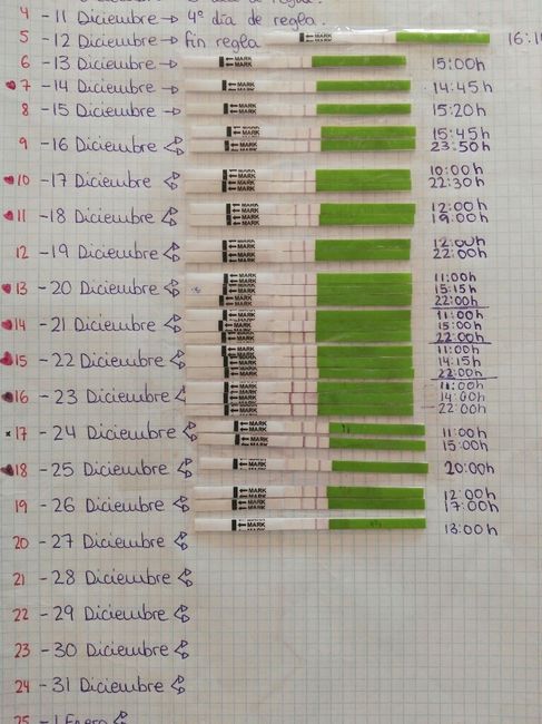 Buscadoras diciembre 2016!! - 1