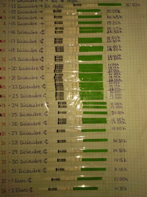 Buscadoras enero 2017 - 1