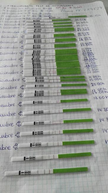 Dudas día de ovulación según los to - 2