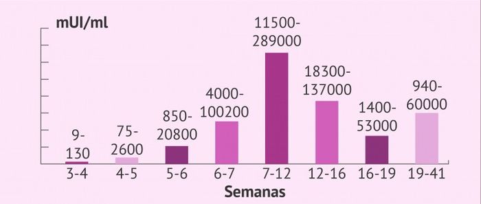 Buscadoras después de uno o varios abortos iii 1