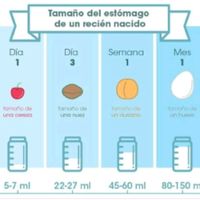 Dudas calientabiberones - 1