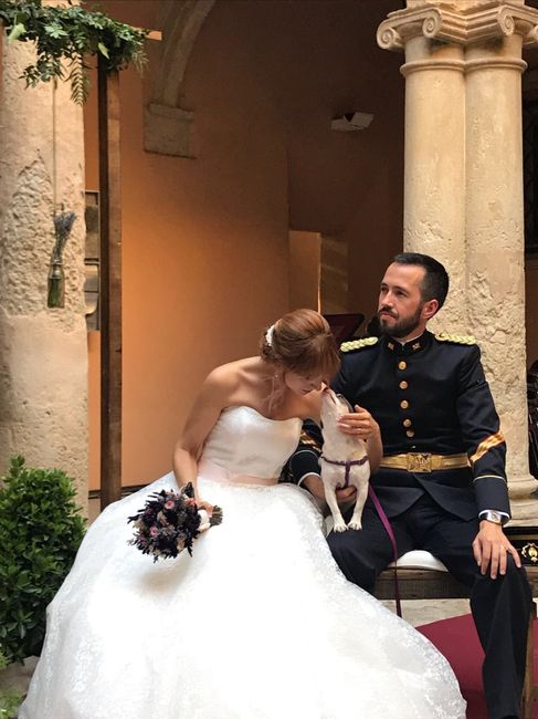Llevar mascotas a la boda. ¿A favor o en contra? 4
