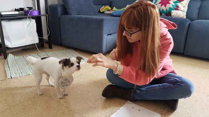 Mi paje 🐶 - 3