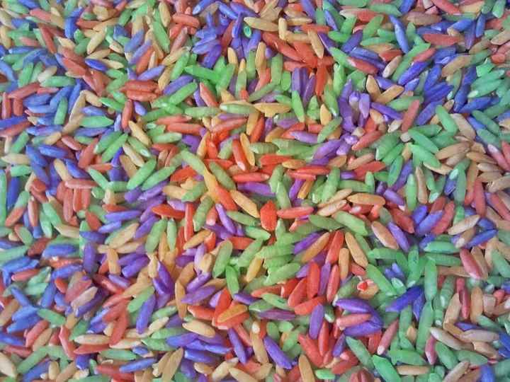Arroz tintado - 2