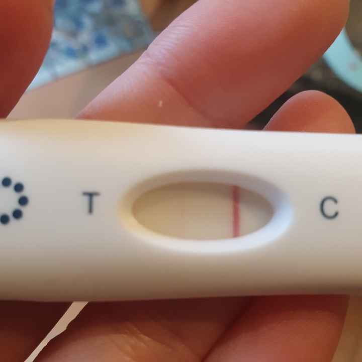Buscadoras Marzo 2021 💪💘👶🏻 - 1