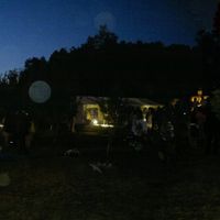 Zona de carpa