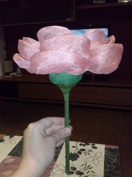 florokj