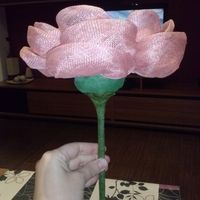 florokj