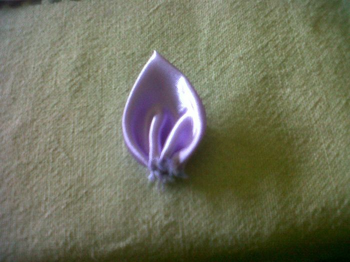 petalo flor