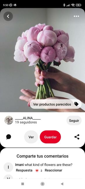 Ramos de Novia Rosas 2