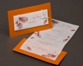 Nuestras invitaciones
