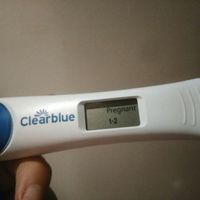 Buscadoras después de uno o varios abortos ii - 1