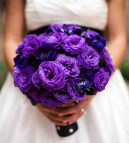 Tipos de morado