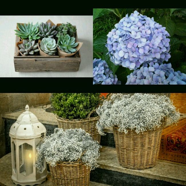 ¿qué flores vais a utilizar en vuestro ramo de novia? - 2