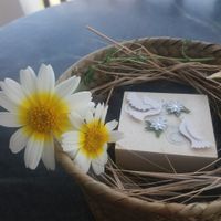 Novios que nos casamos el 18 de Abril de 2020 en Islas Baleares - 1