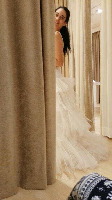 Pruebas del vestido - 2