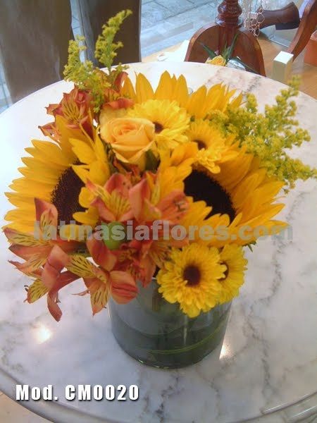 Girasoles 3