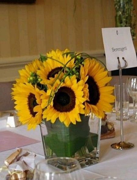 Girasoles 4