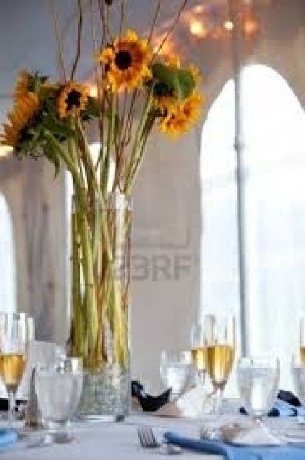 Girasoles 