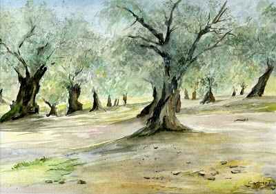 Ramas de olivo - 1