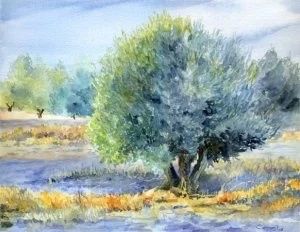 Ramas de olivo - 2