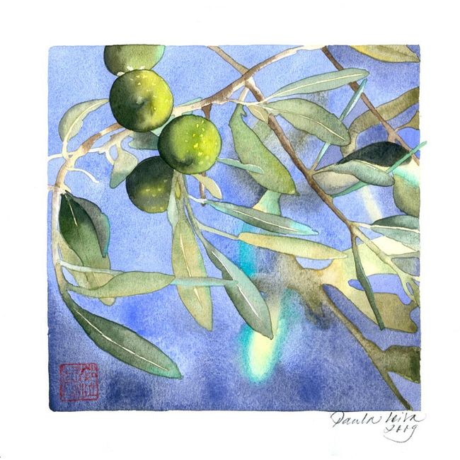 Ramas de olivo - 3