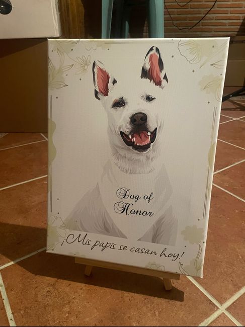 Perrita presente el día B. 2