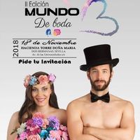 Novios que nos casamos el 2 de Noviembre de 2019 en Sevilla - 2