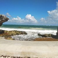Algas (o no) en Riviera Maya! - 2