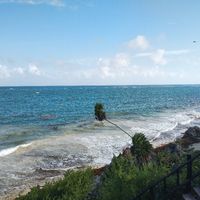 Algas (o no) en Riviera Maya! - 3