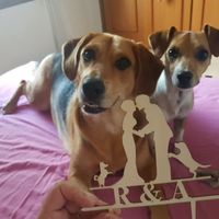 Me ha llegado el topper de la tarta( aliexpress) - 2