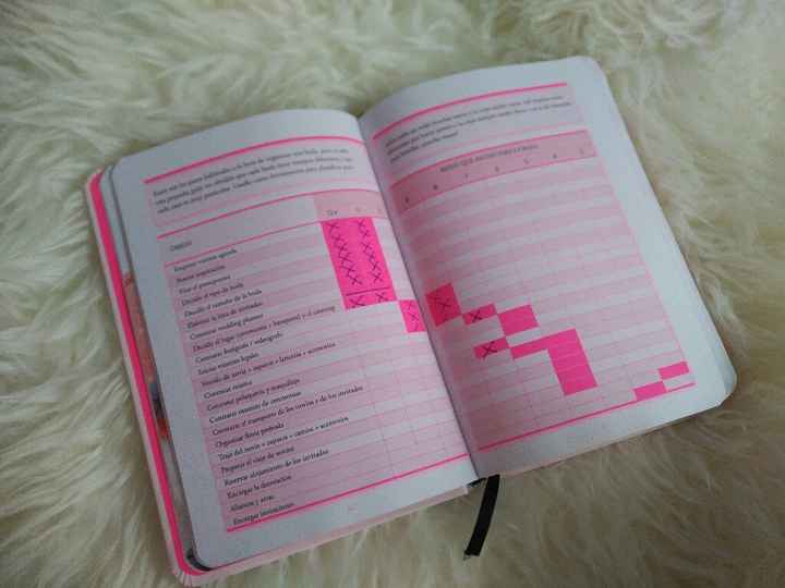 Socorro! Organizar ideas para la boda - 2