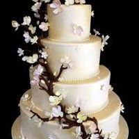 Bodas de otoño - 48