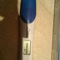 Predictor - 1