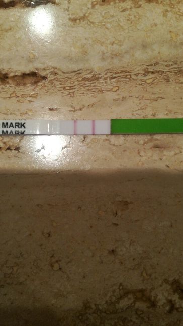 Buscadoras mayo 2017 - 1