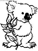 Koykoy