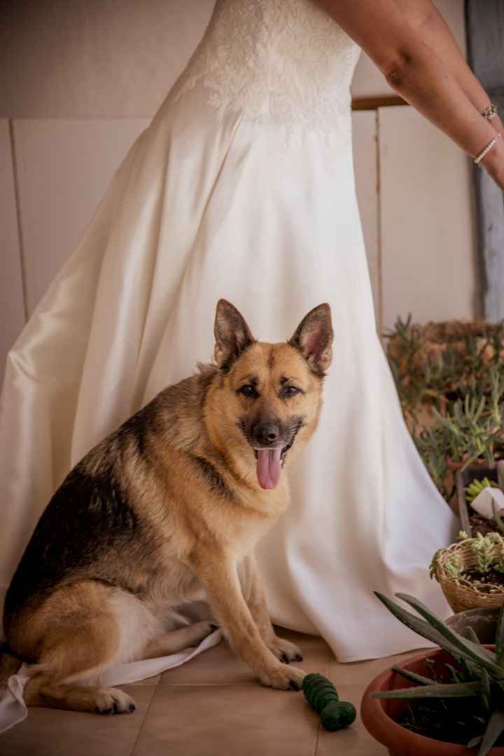 ¿Con cuántos ❤️ valoras el día de tu boda? - 3