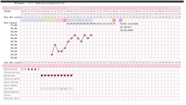 Experta en gráficas Temp. Basal 2