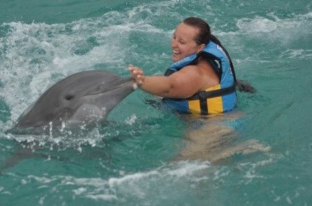 delfines