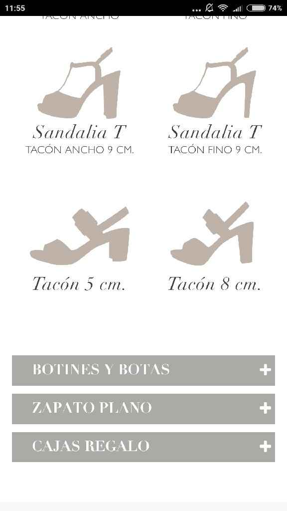 Zapatos de colores - 5