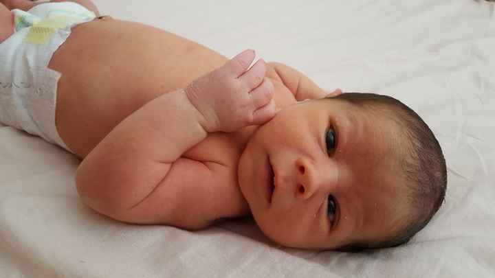 Mateo