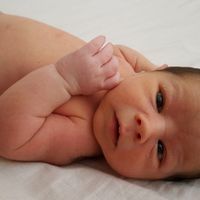 Mateo