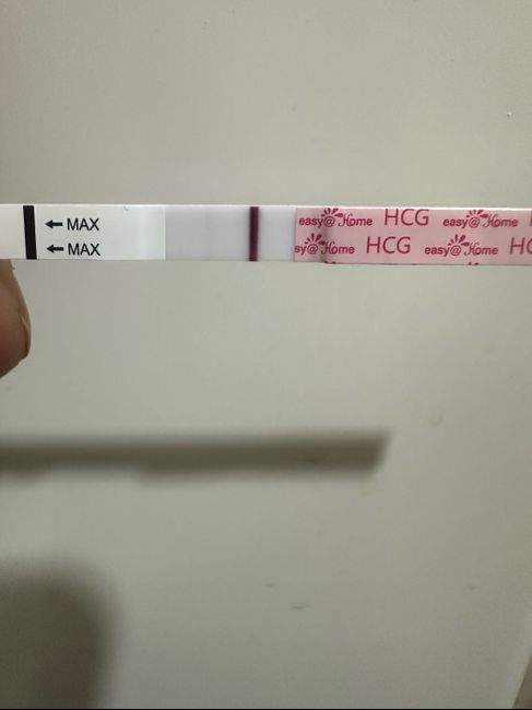 Buscadoras marzo 2026 🍀 2