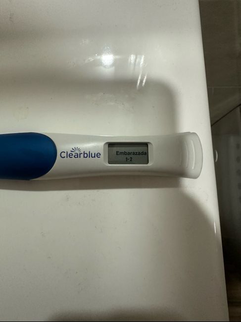 Buscadoras marzo 2026 🍀 1