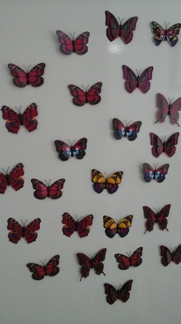 mariposas 